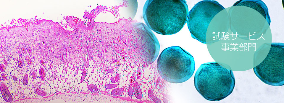 試験サービス事業部門