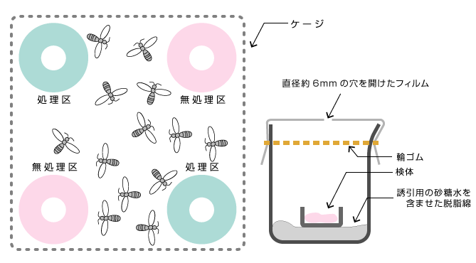 忌避試験方法[蚊・ハエ]