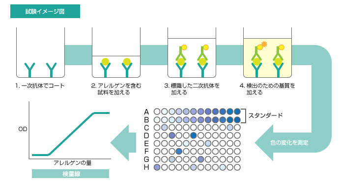 サンドイッチ法 試験イメージ図