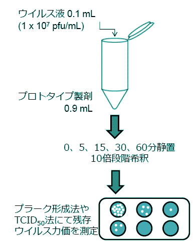 抗ウイルス試験方法例