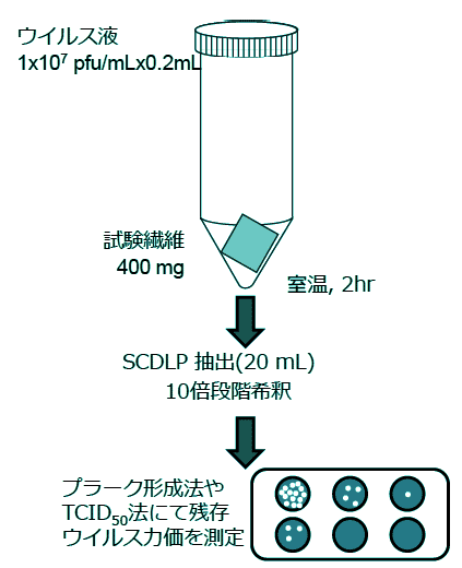 抗ウイルス試験方法例