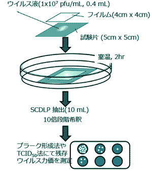 プラスチックの抗ウイルス試験方法例